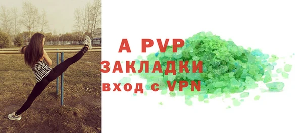 индика Покачи