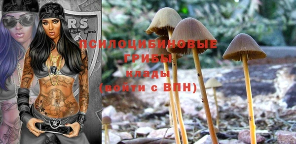 индика Покачи