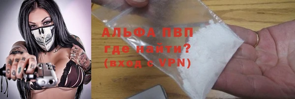 дурь Инта