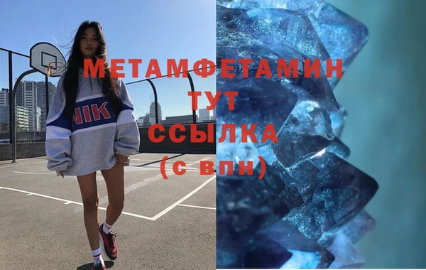 прущие грибы Зерноград