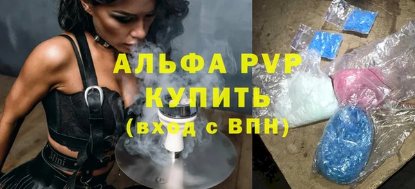 индика Покачи