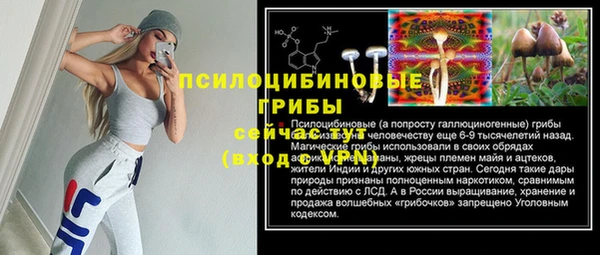 индика Покачи