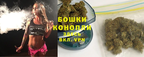 индика Покачи