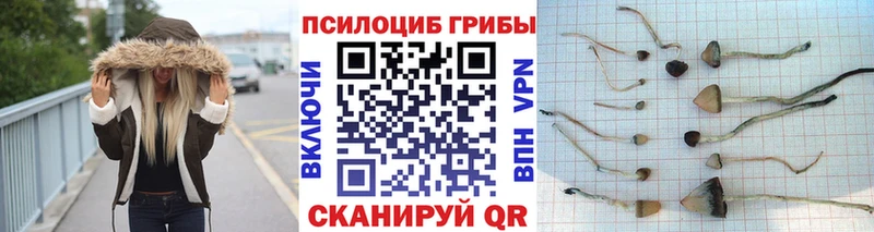 где найти наркотики  Карабаново  Галлюциногенные грибы Magic Shrooms 